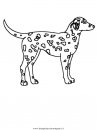 animali/cani/cane_007.JPG