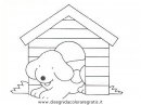 animali/cani/cane_039.JPG