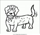 animali/cani/cane_057.JPG