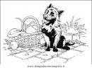 animali/cani/cane_072.JPG