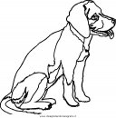 animali/cani/cane_079.JPG