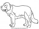 animali/cani/cane_094.JPG