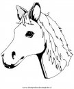 animali/cavalli/cavallo_107.JPG