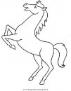 animali/cavalli/cavallo_112.JPG