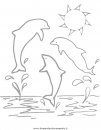 animali/delfini/delfino_delfini02.JPG