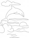 animali/delfini/delfino_delfini07.JPG