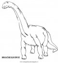 animali/dinosauri/brachiosauro.JPG