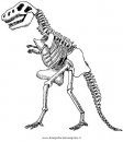 animali/dinosauri/z_dinosauro_scheletro_1.jpg