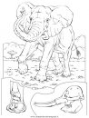 animali/elefanti/elefante_14.JPG