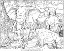 animali/elefanti/elefante_15.JPG