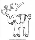 animali/elefanti/elefante_23.JPG