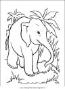 animali/elefanti/elefante_26.JPG
