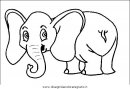 animali/elefanti/elefante_32.JPG