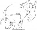 animali/elefanti/elefante_54.JPG