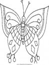 animali/farfalle/Butterfly_farfalla.JPG