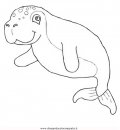 animali/foche/dugongo-1.JPG