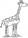 animali/giraffe/giraffa_10.JPG