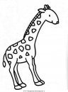 animali/giraffe/giraffa_31.JPG