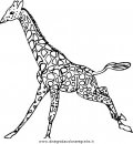 animali/giraffe/giraffa_34.JPG