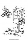 animali/insetti/alveare_apicoltore_03.JPG