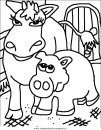 animali/mucche/mucca_toro_15.JPG