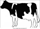 animali/mucche/mucca_toro_30.JPG