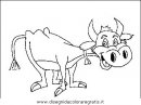 animali/mucche/mucca_toro_31.JPG