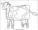 animali/mucche/mucca_toro_35.JPG