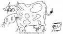 animali/mucche/mucca_toro_40.JPG