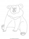 animali/orsi/orso_100.JPG
