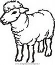 animali/pecore/pecora_0.JPG