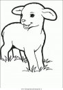 animali/pecore/pecora_6.JPG