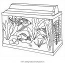 animali/pesci2/aquarium_acquario_01.JPG