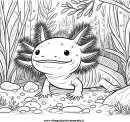 animali/pesci2/axolotl_02.JPG