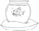 animali/pesci2/pesce_pesci_005.JPG