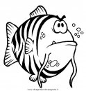 animali/pesci2/pesce_pesci_064.JPG