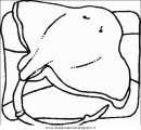 animali/pesci2/pesce_pesci_073.JPG