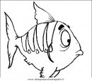 animali/pesci2/pesce_pesci_080.JPG