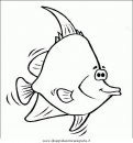 animali/pesci2/pesce_pesci_081.JPG