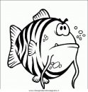 animali/pesci2/pesce_pesci_086.JPG