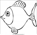 animali/pesci2/pesce_pesci_091.JPG