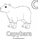 animali/roditori/capibara_02.JPG
