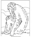 animali/scimmie/scimmia_19.jpg