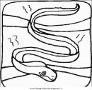 animali/serpenti/serpente_02.JPG