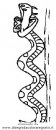 animali/serpenti/serpente_05.JPG