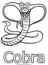animali/serpenti/serpente_08.JPG
