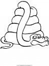 animali/serpenti/serpente_13.JPG