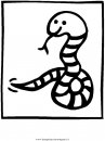 animali/serpenti/serpente_15.JPG