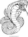 animali/serpenti/serpente_51.JPG