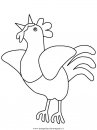 animali/tacchini/tacchino_gallina_04.JPG